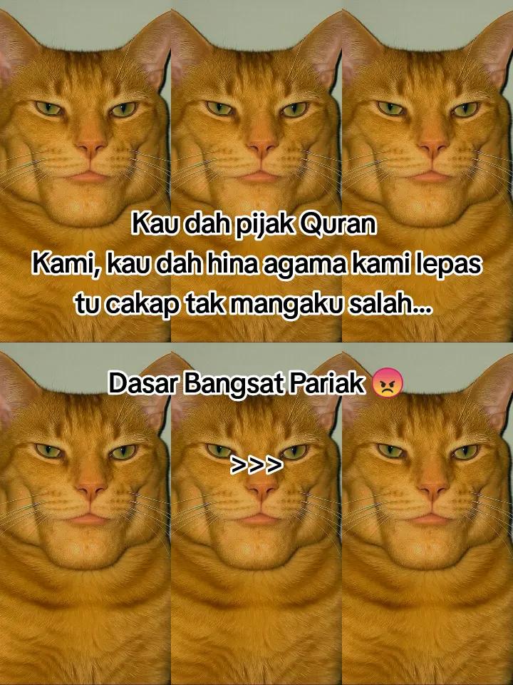@HykalSazer01