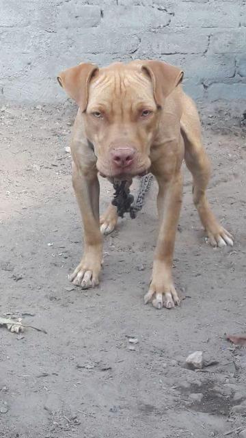 @@Alkebulan_SDJ
