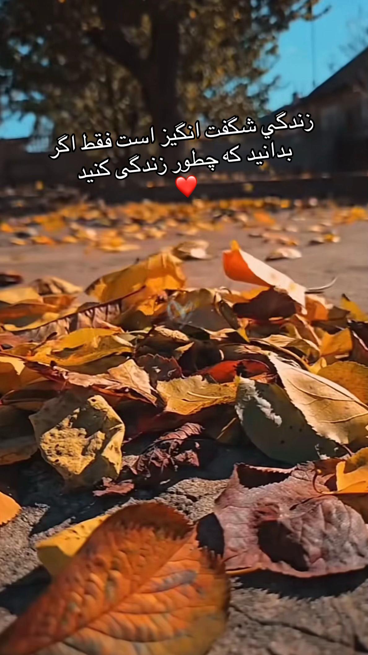 @Bano heidari🇪🇸💛🤍💙