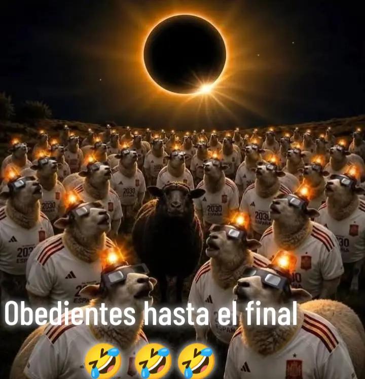 @kassandra77770