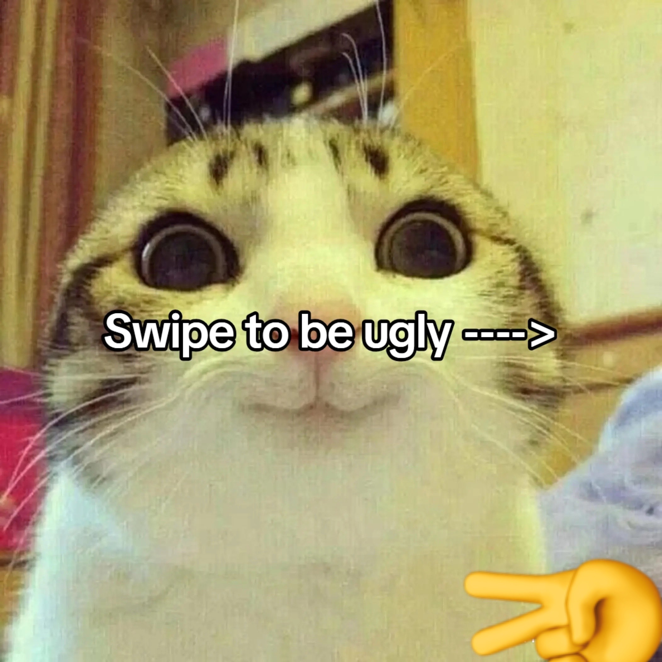 @BSG B