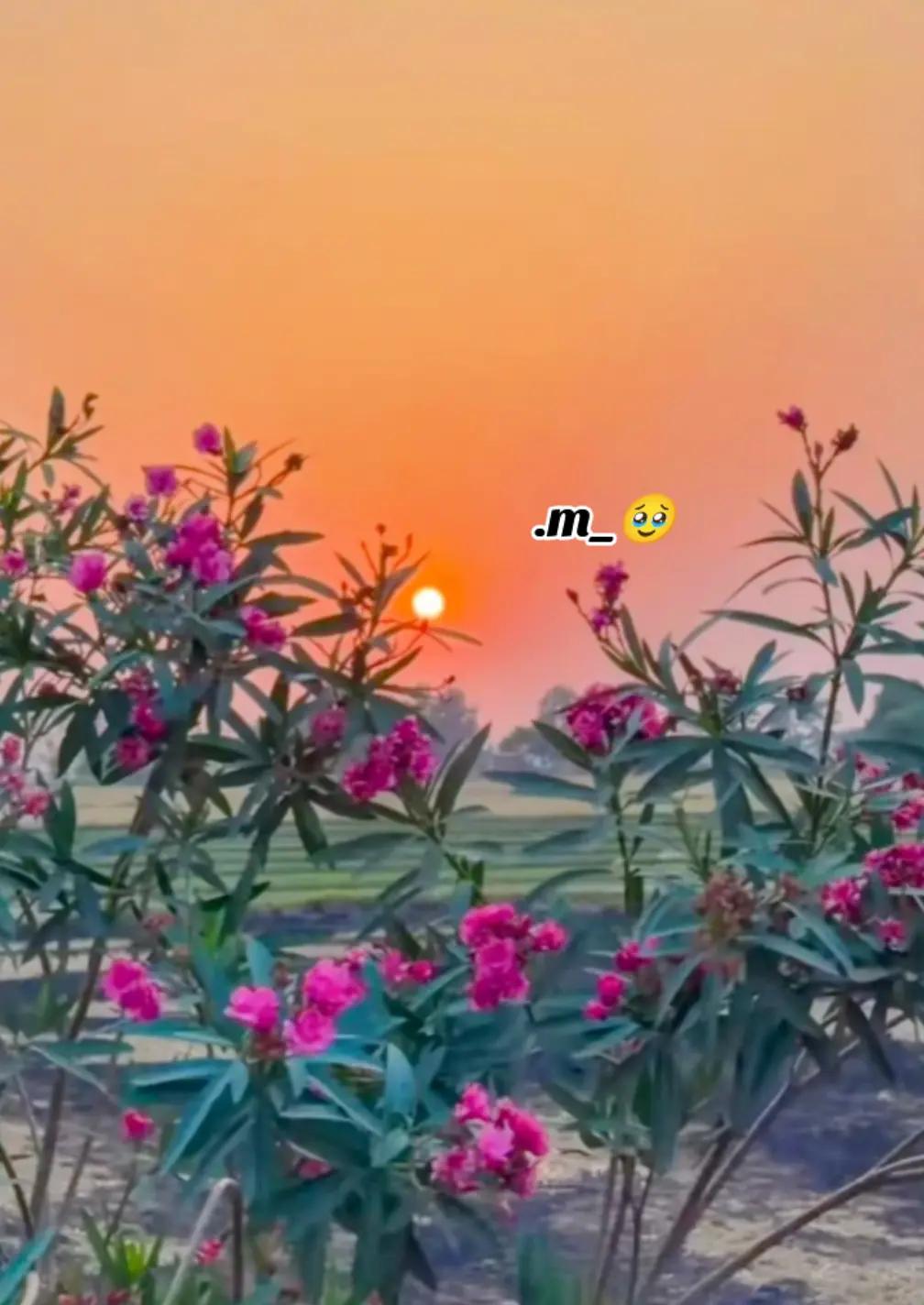 @⁖℘ᬁᴶᵘᵗᵗ ᴼᶠ 𝔮ᵘᵉᵉⁿᬁ⁖℘.