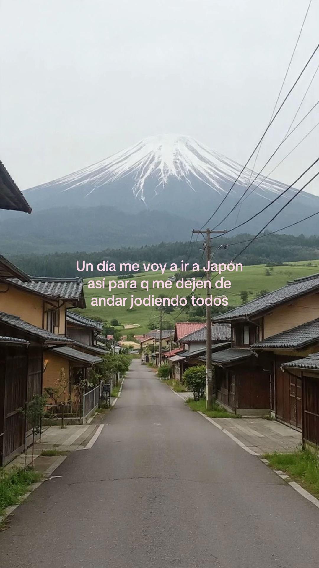 @websayl