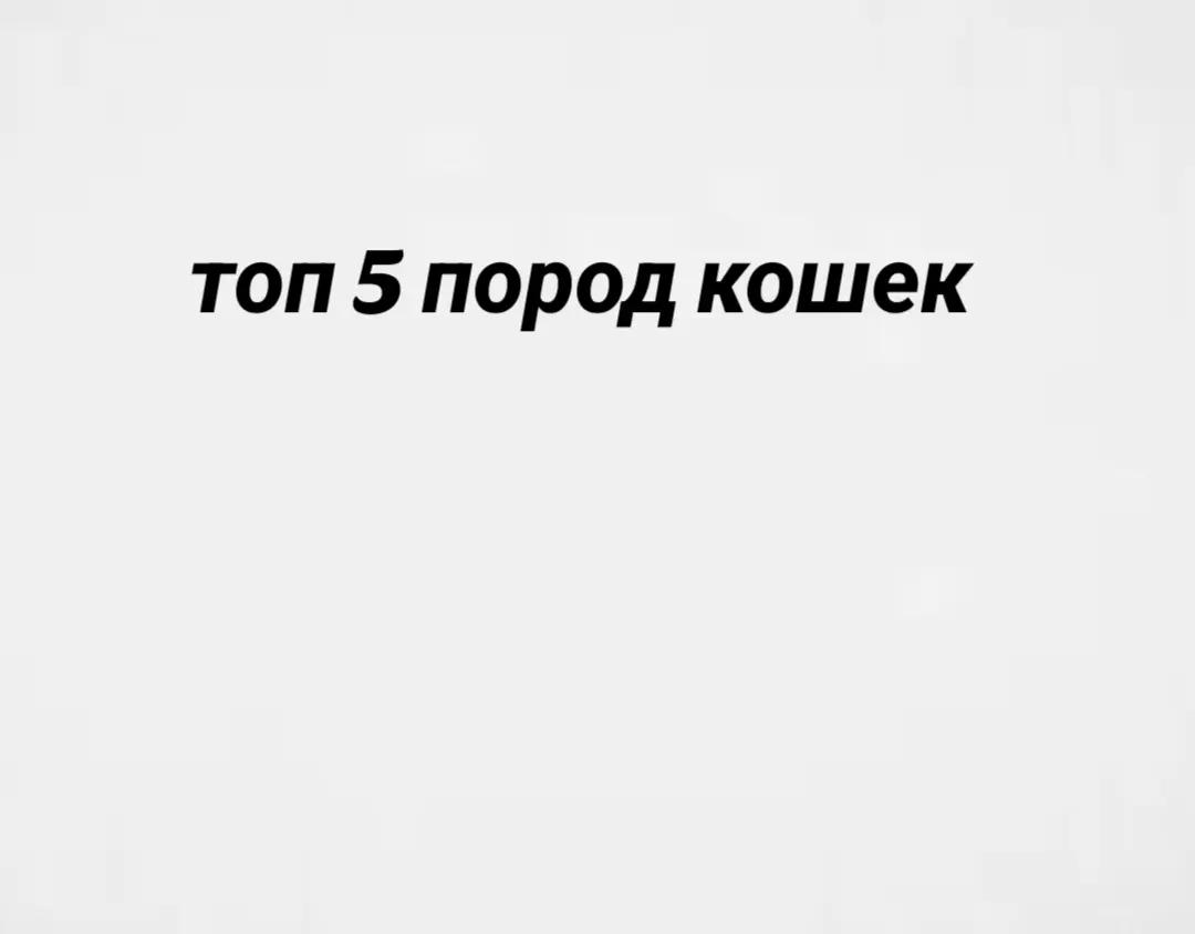 @ТЕРМИНАТОР