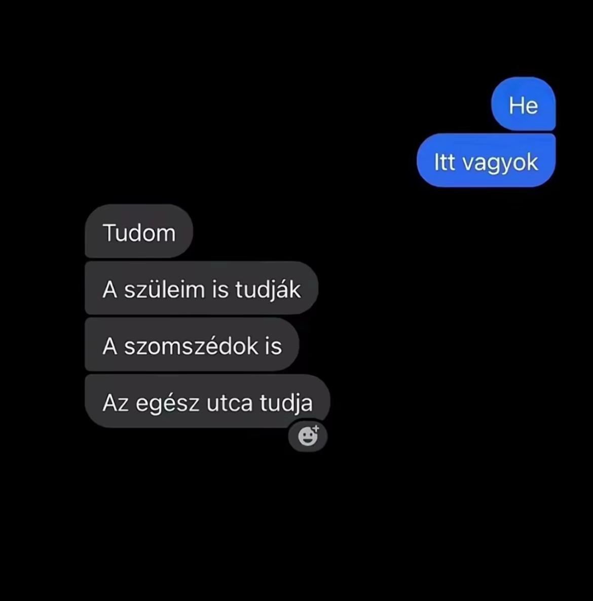 @_xsoregi.dominikax_