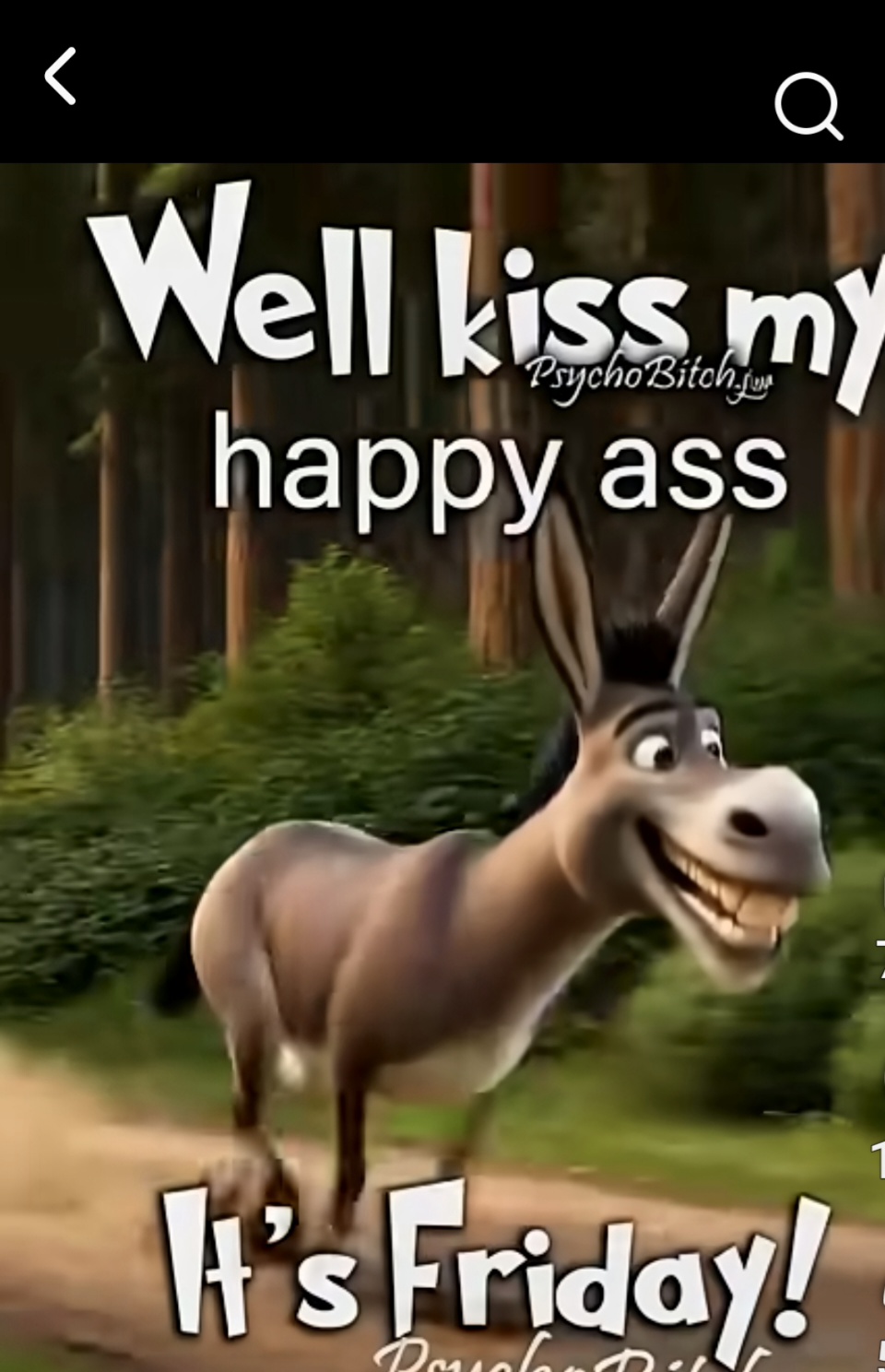 @Bambi