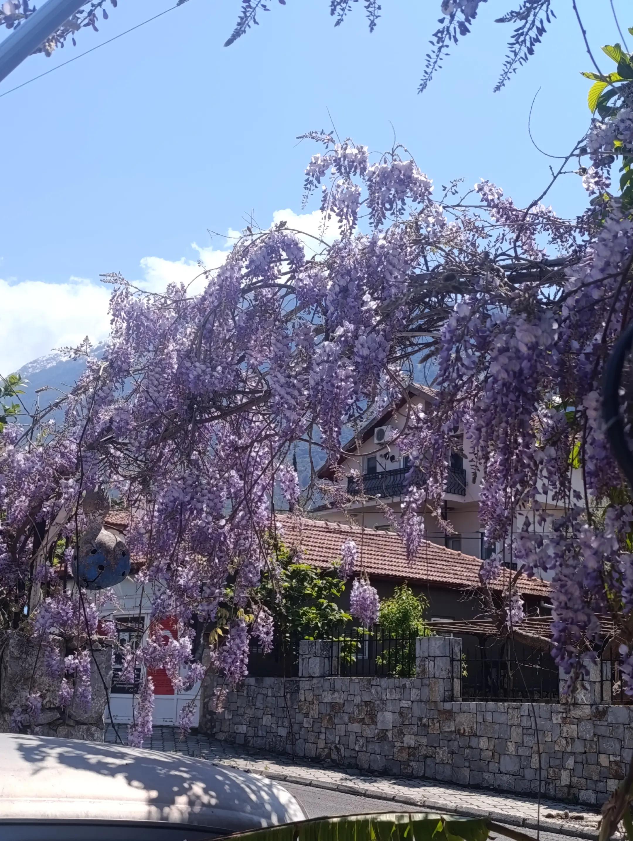 @CC's Butik Hotel