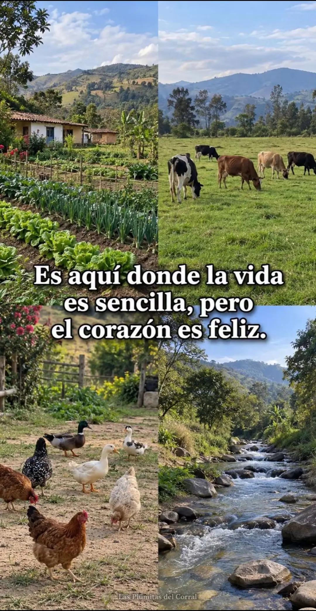 @diaz jessica🫠