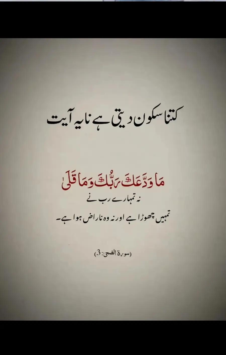 @Saqib Ali001✅⛎