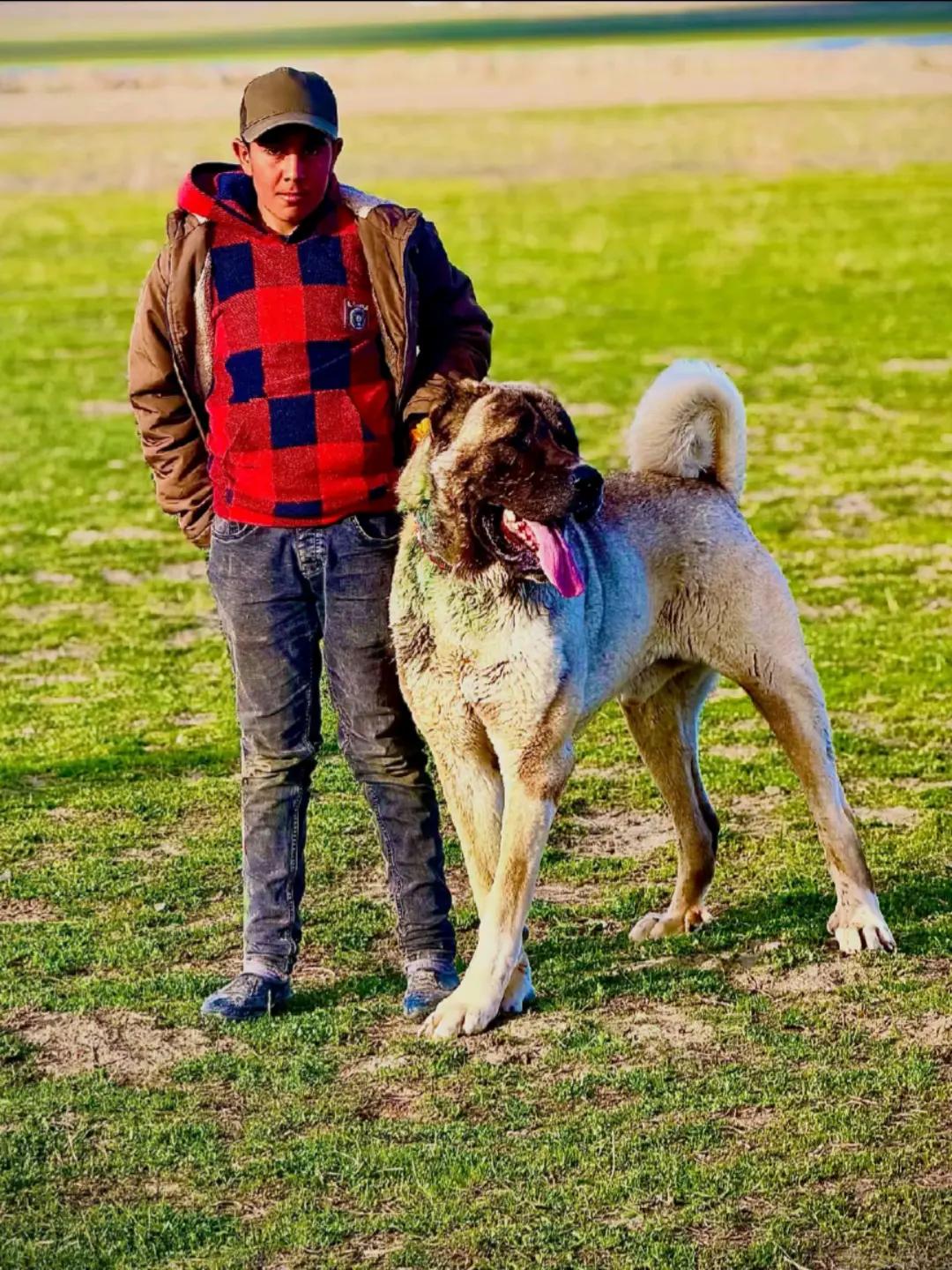@Yusuf saldık