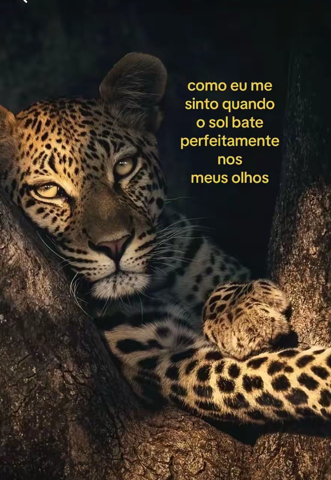 @hׁׅ֮ꫀׁׅܻᥣׁׅ֪ᨵׁׅ