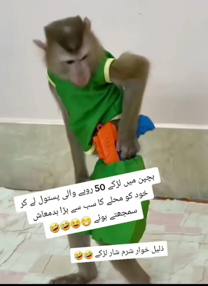 @Pak Army