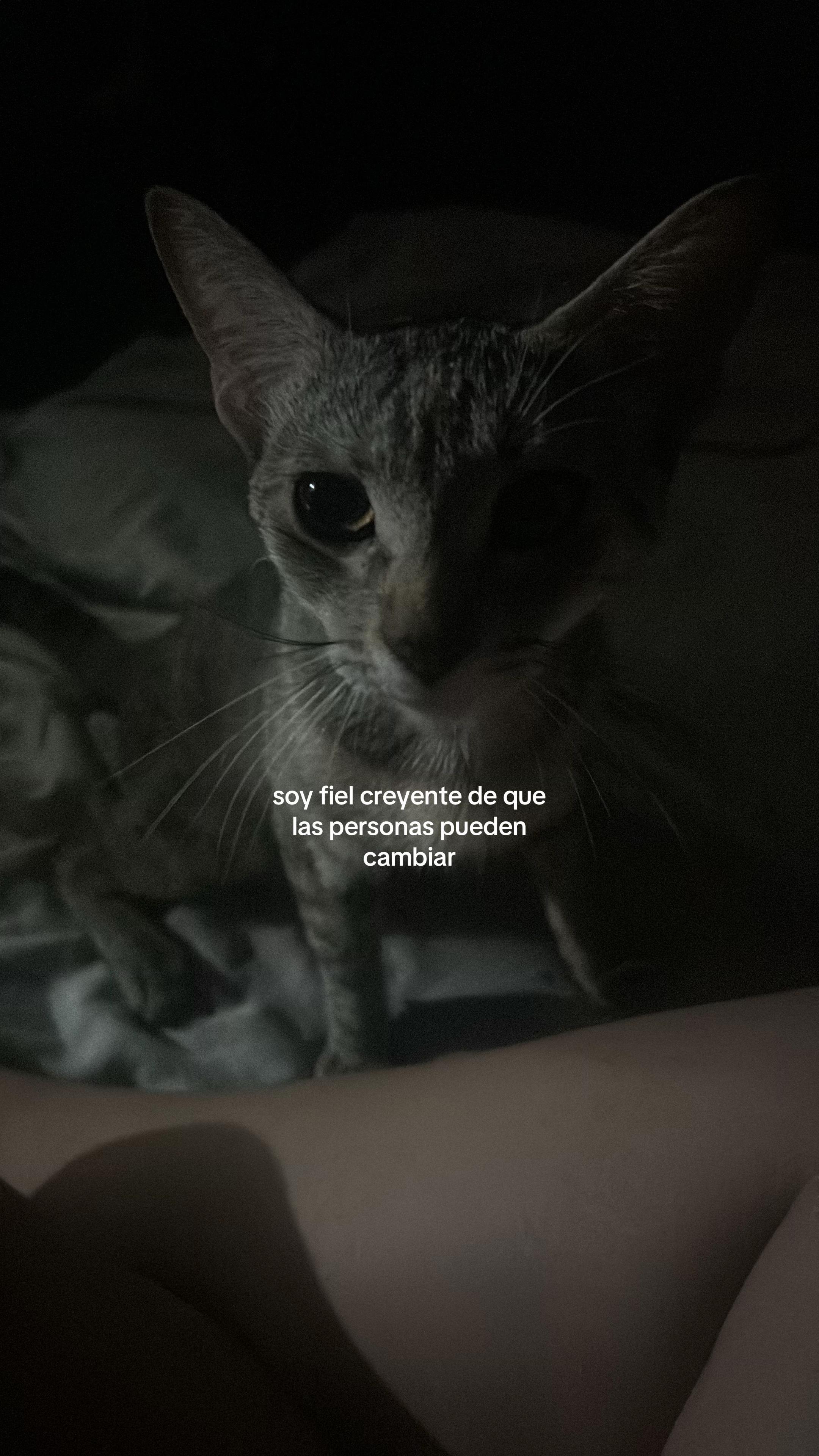 @vale .ᐟ🐞