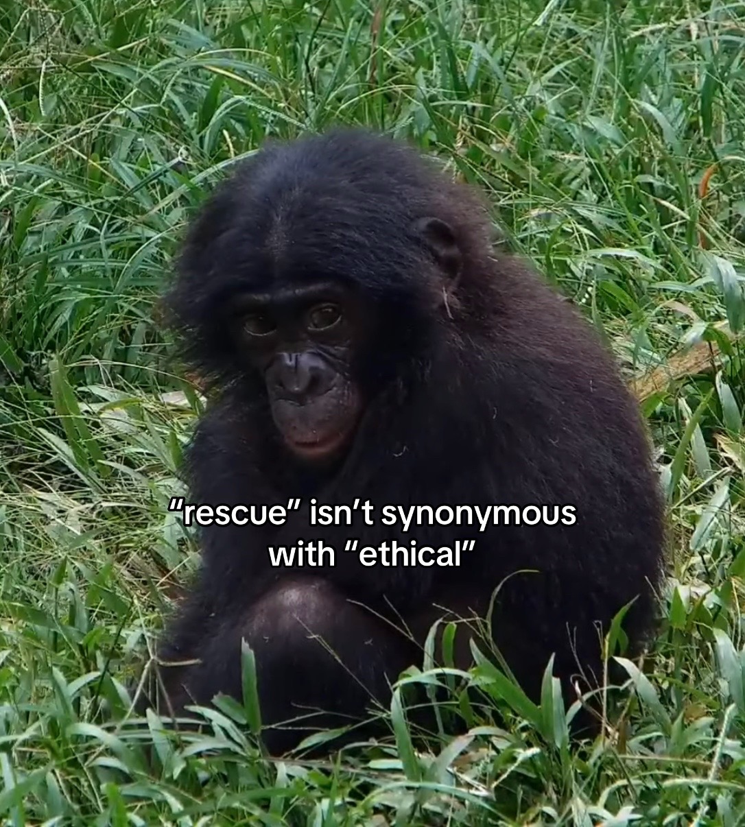 @zoology hq