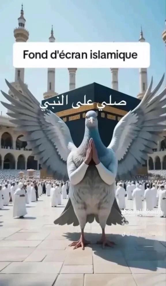@هيما شقيان دلوقتي 🇱🇾✈️🇪🇬🫰
