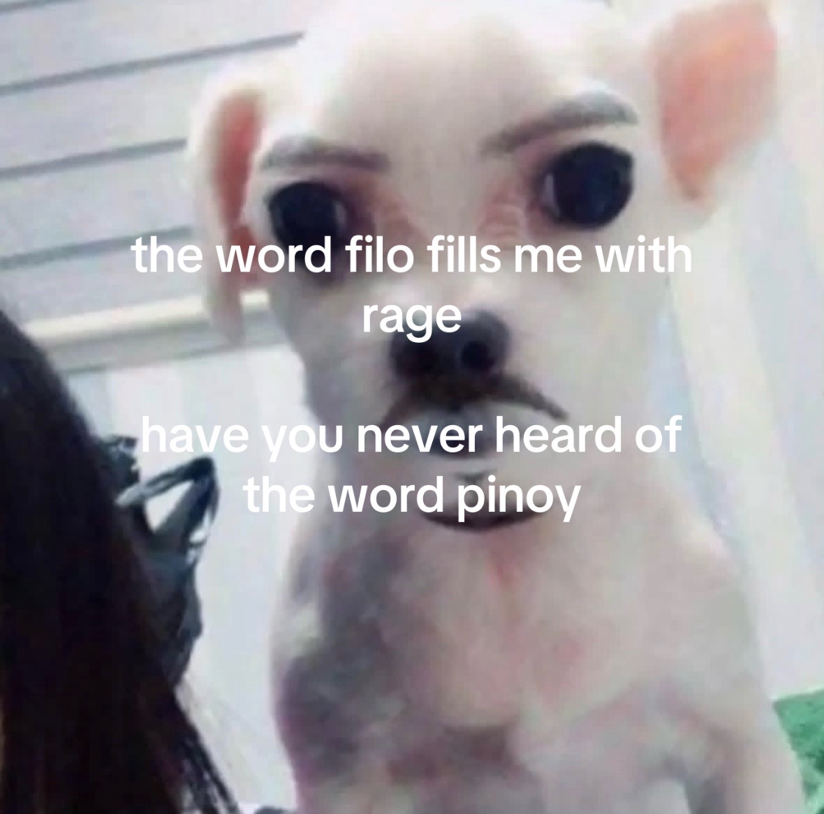 @c dawg