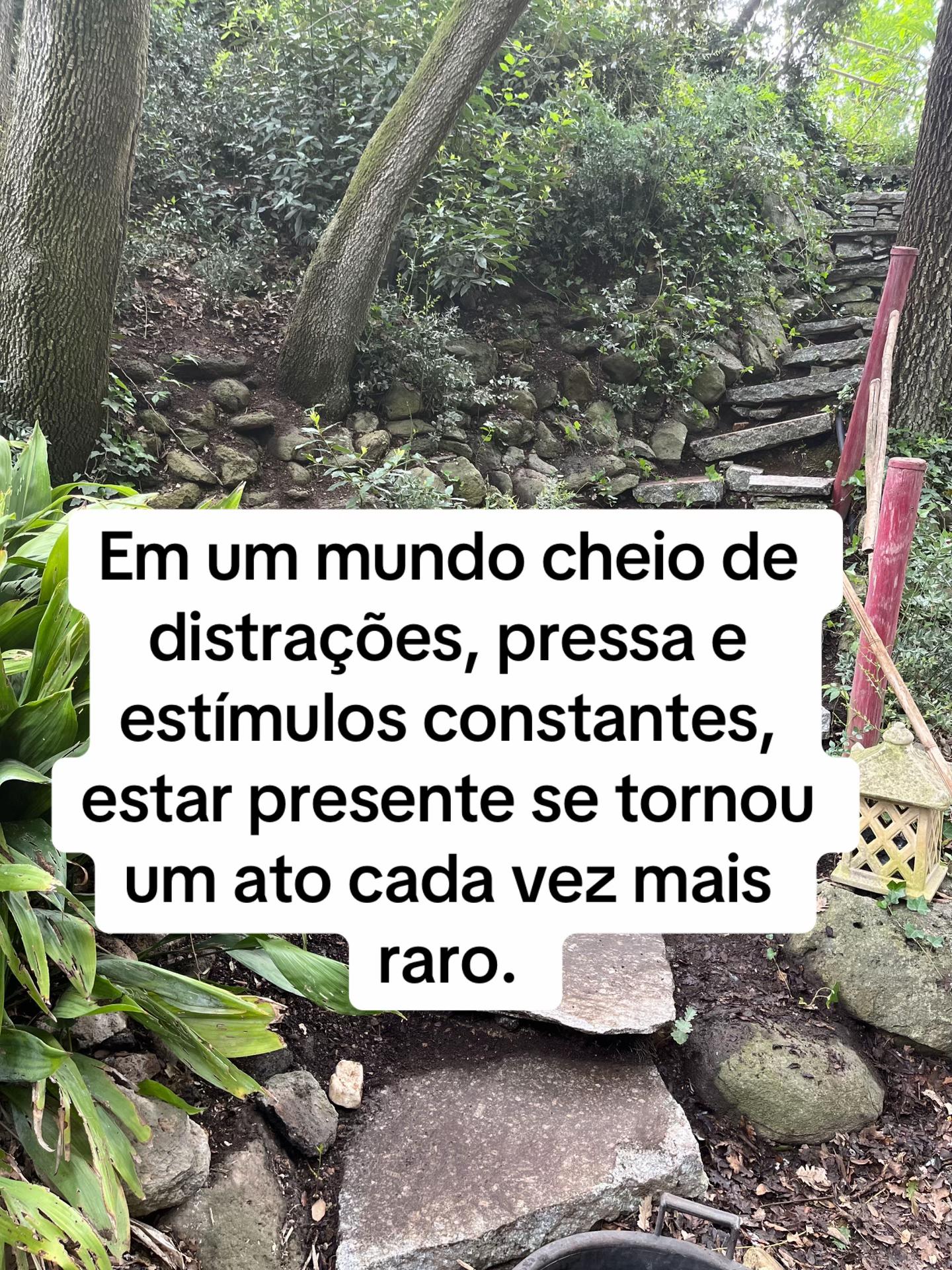 @Vanessa E. Santos | Terapeuta