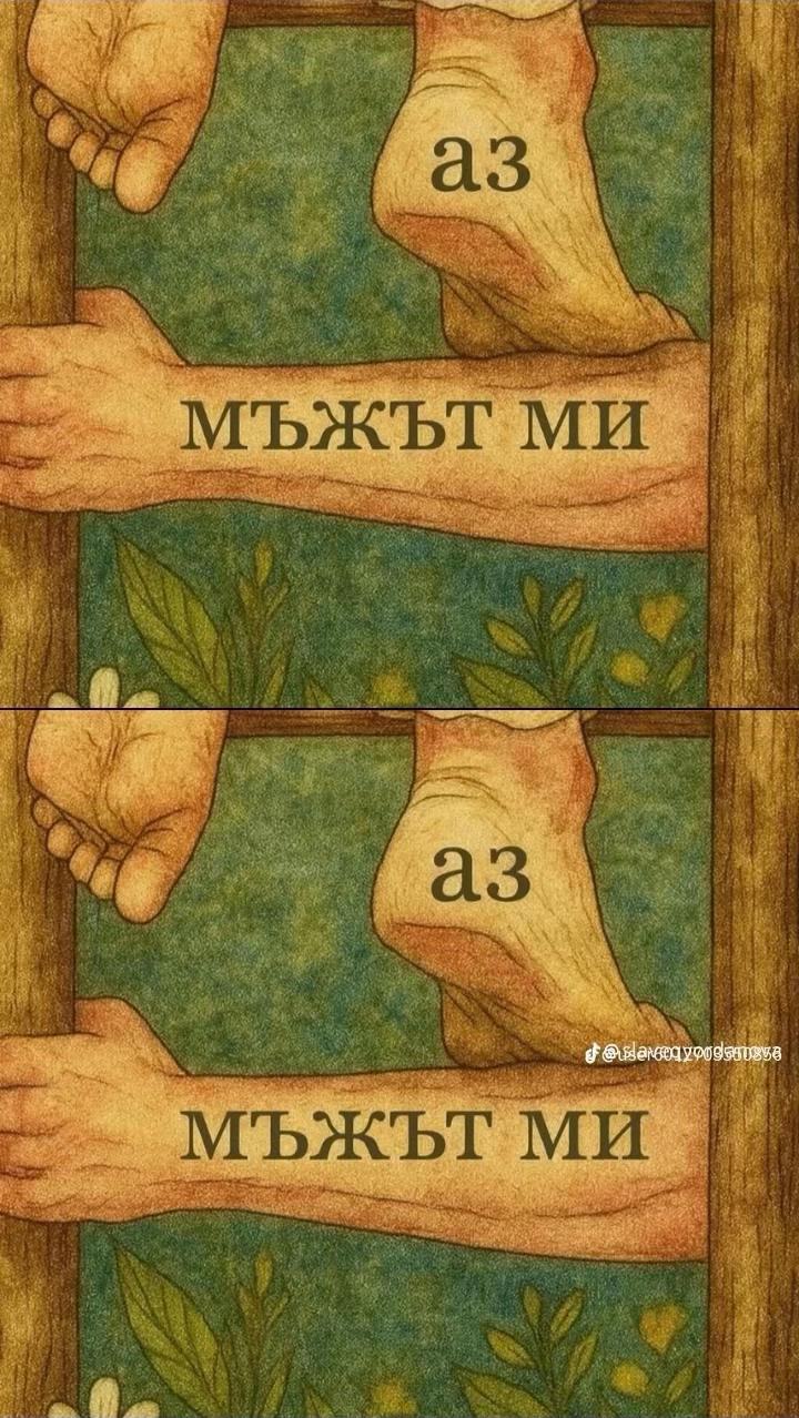 @Vanessa M. Petkova