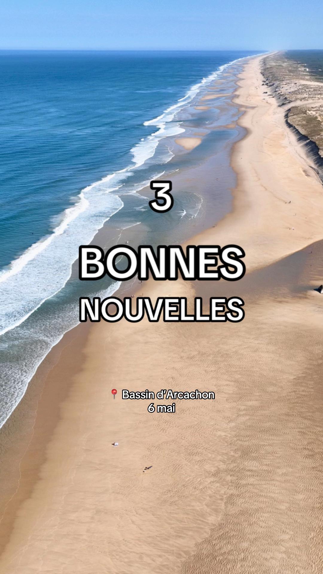 @Bassin d’Arcachon