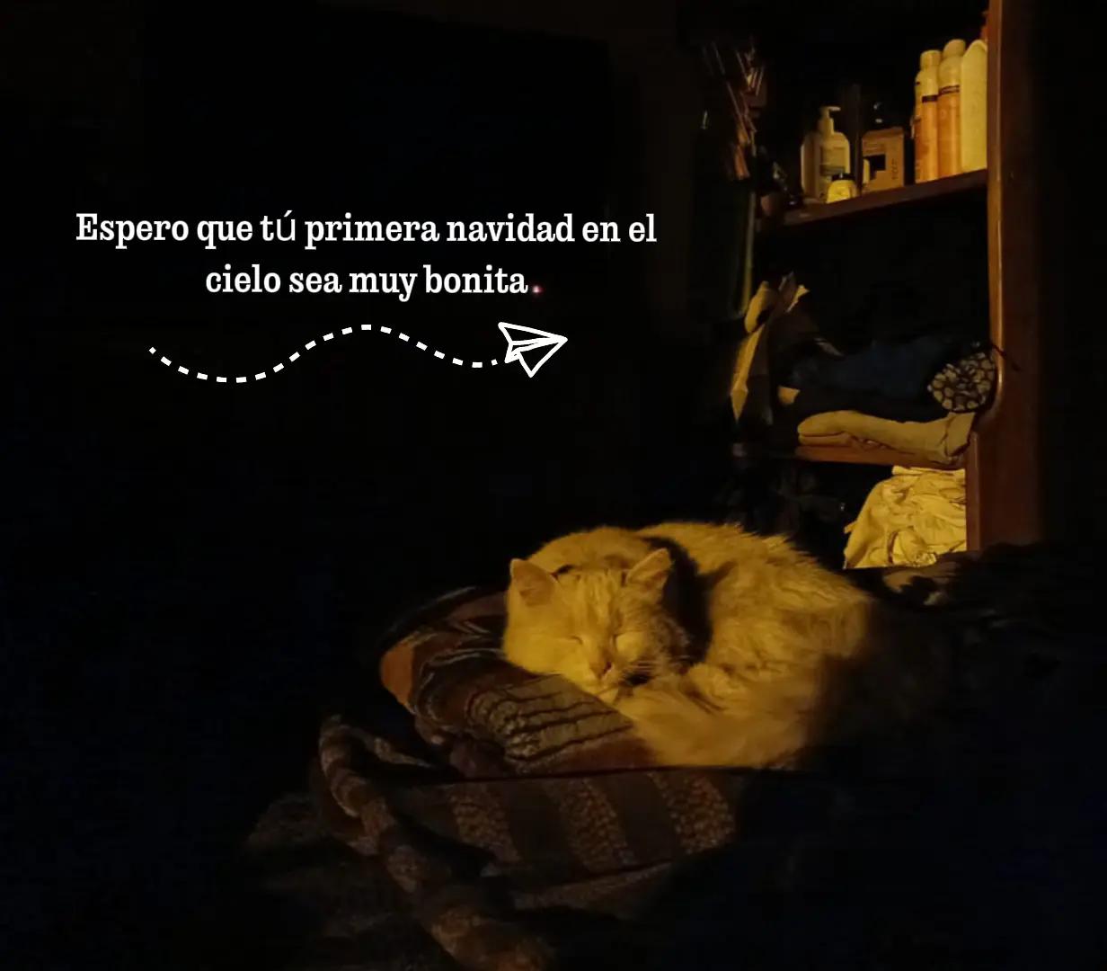 @**LPS*~