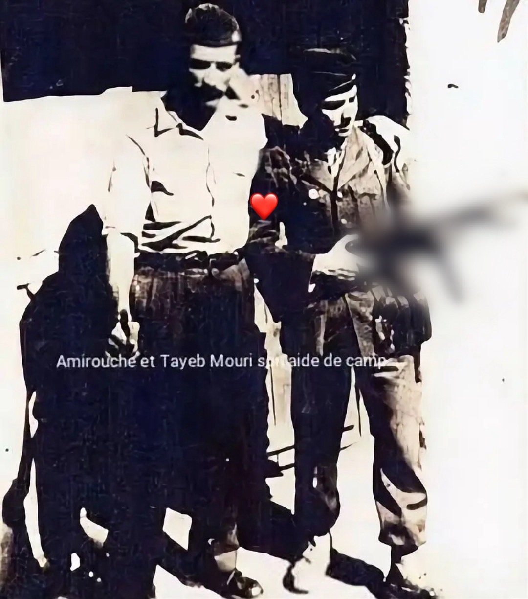 @Kabyle_actu