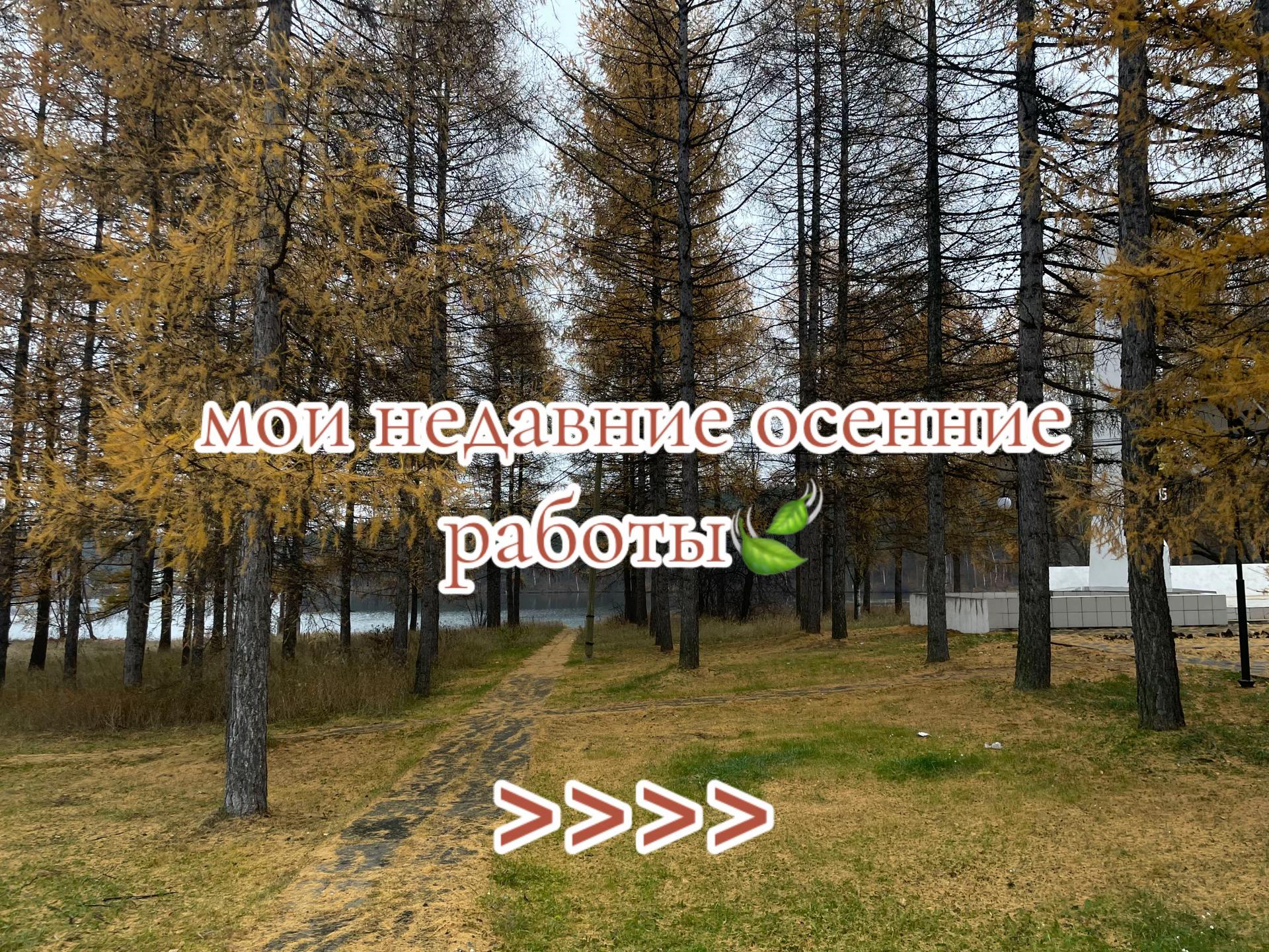 @ell_nature🏴