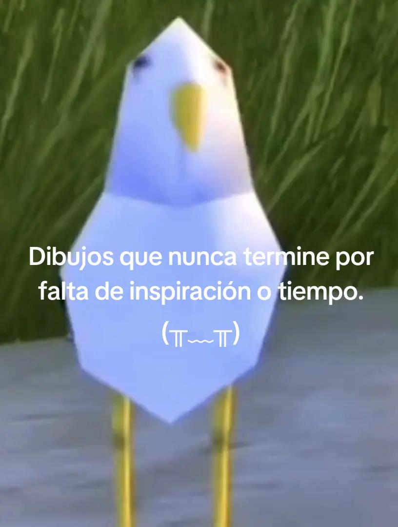 @RAPTOR26
