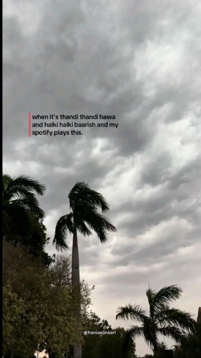 @C A N D Y! 🧸🌎