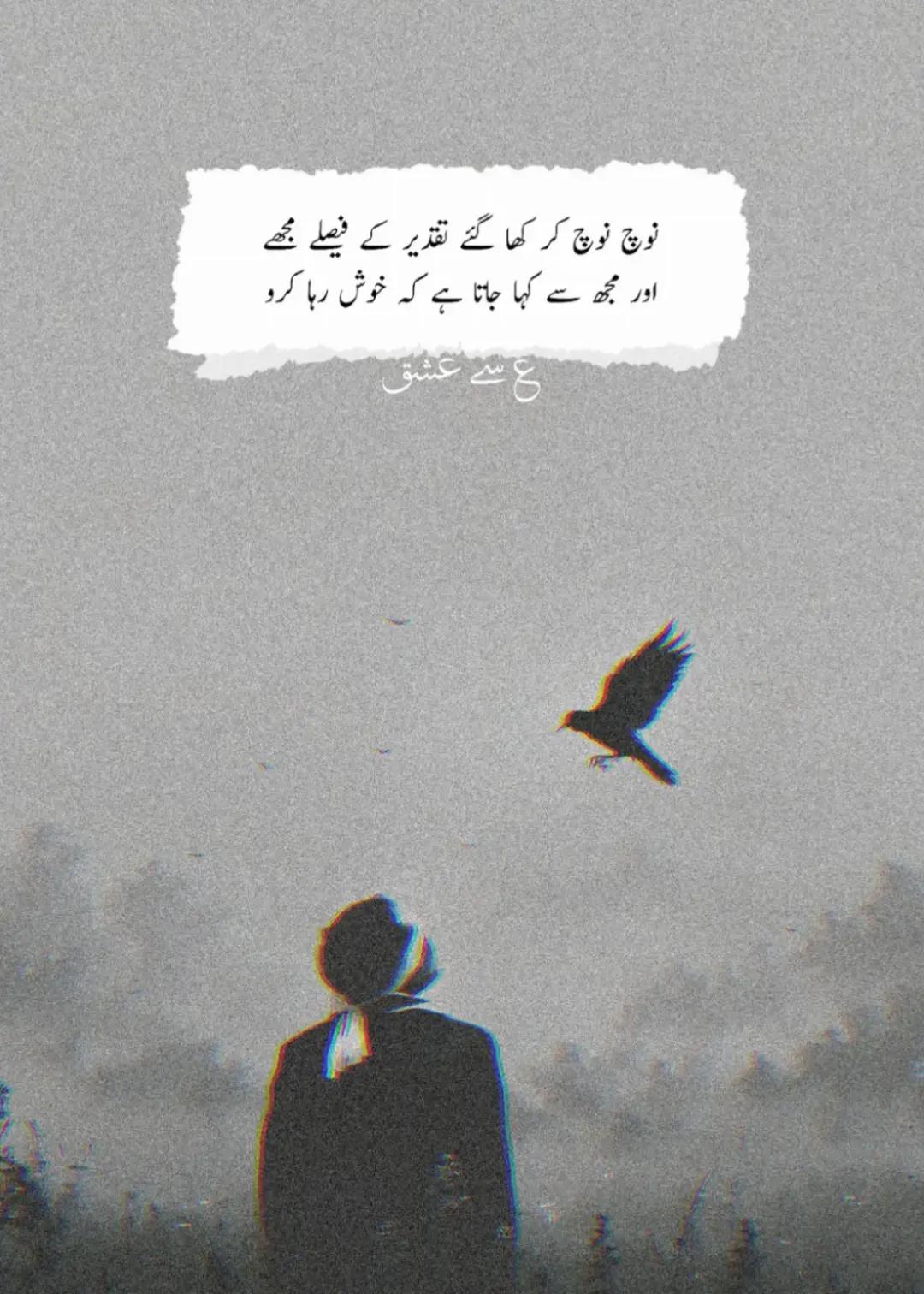 @Mohsin Awan