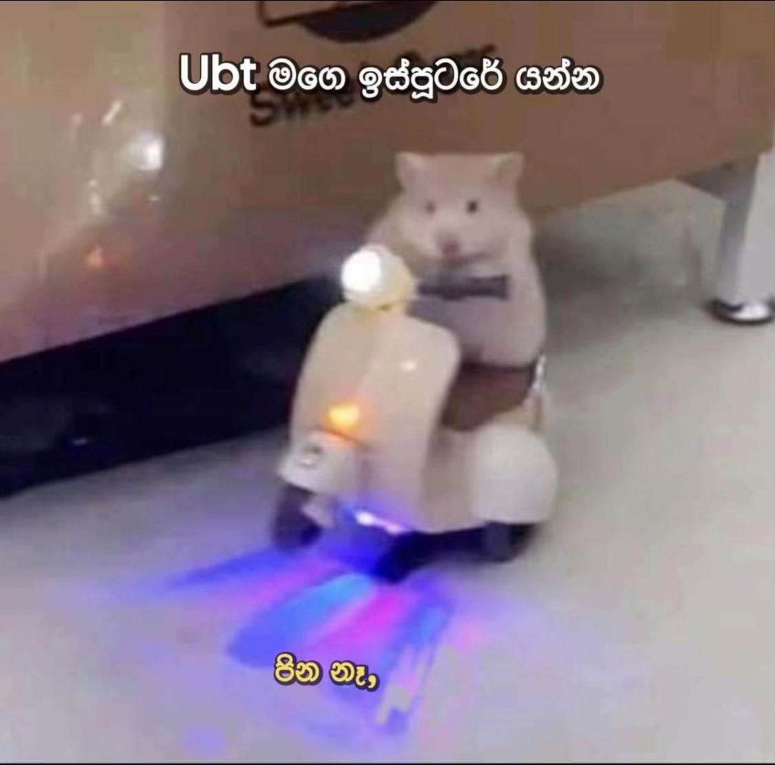 @๐ ๐ฟ.๐๐ฎ๐ถ๐๐ฎ