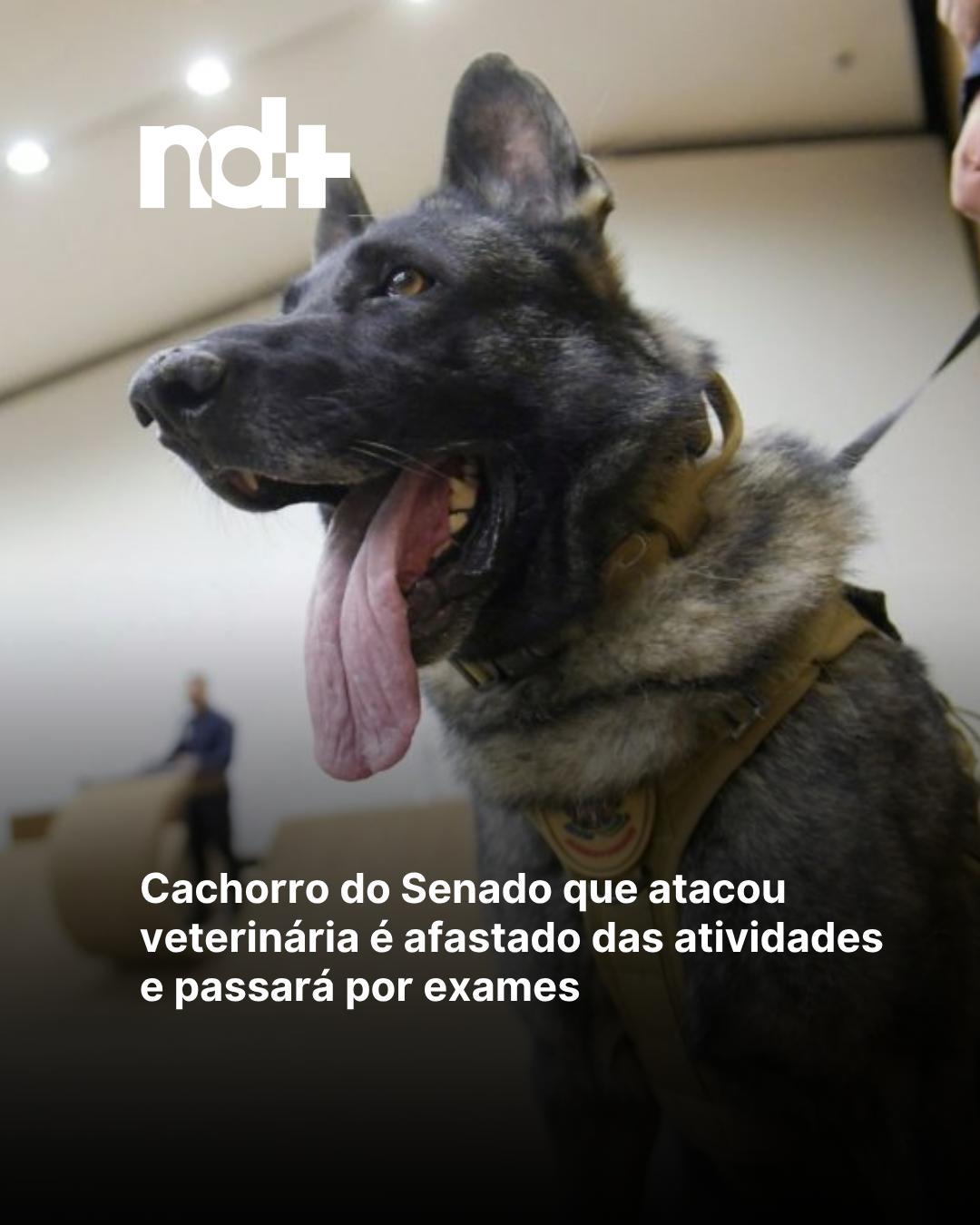 @portalndmais