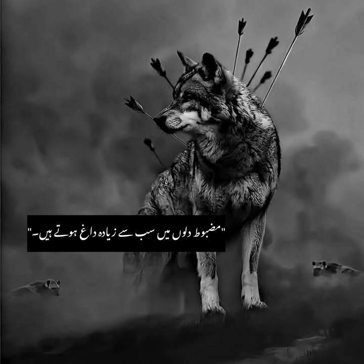 @🔥 Waliullah SAHIBZADA 🔥