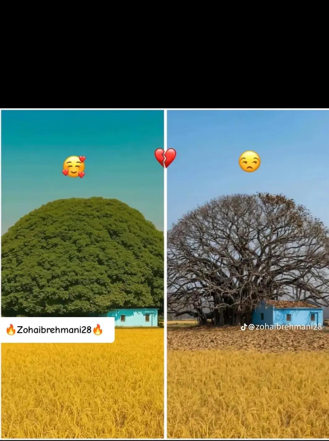 @@Raja 804