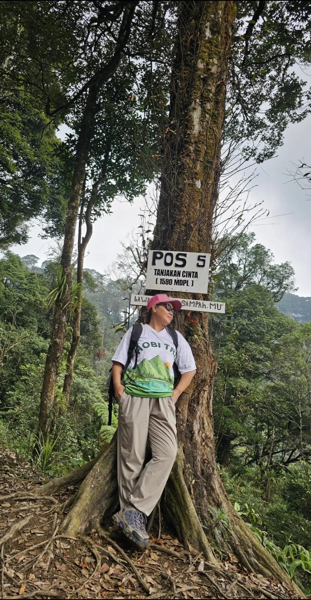 @Maya Hobi Trip
