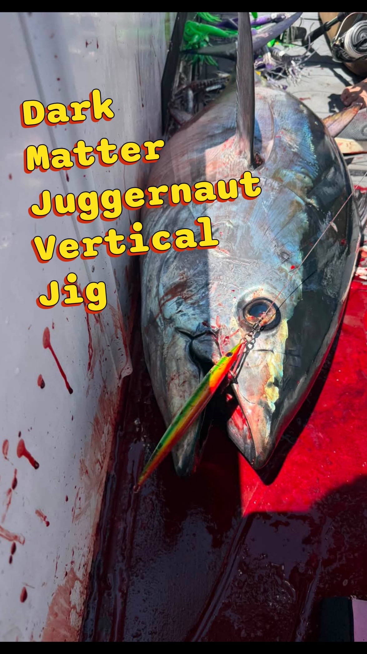 @Dark Matter Fishing