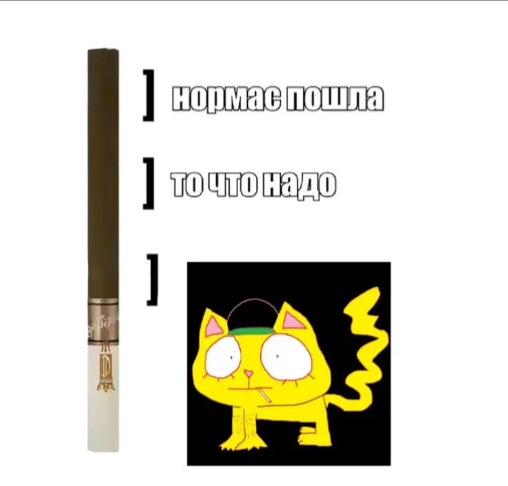 @frikovv #ПМ