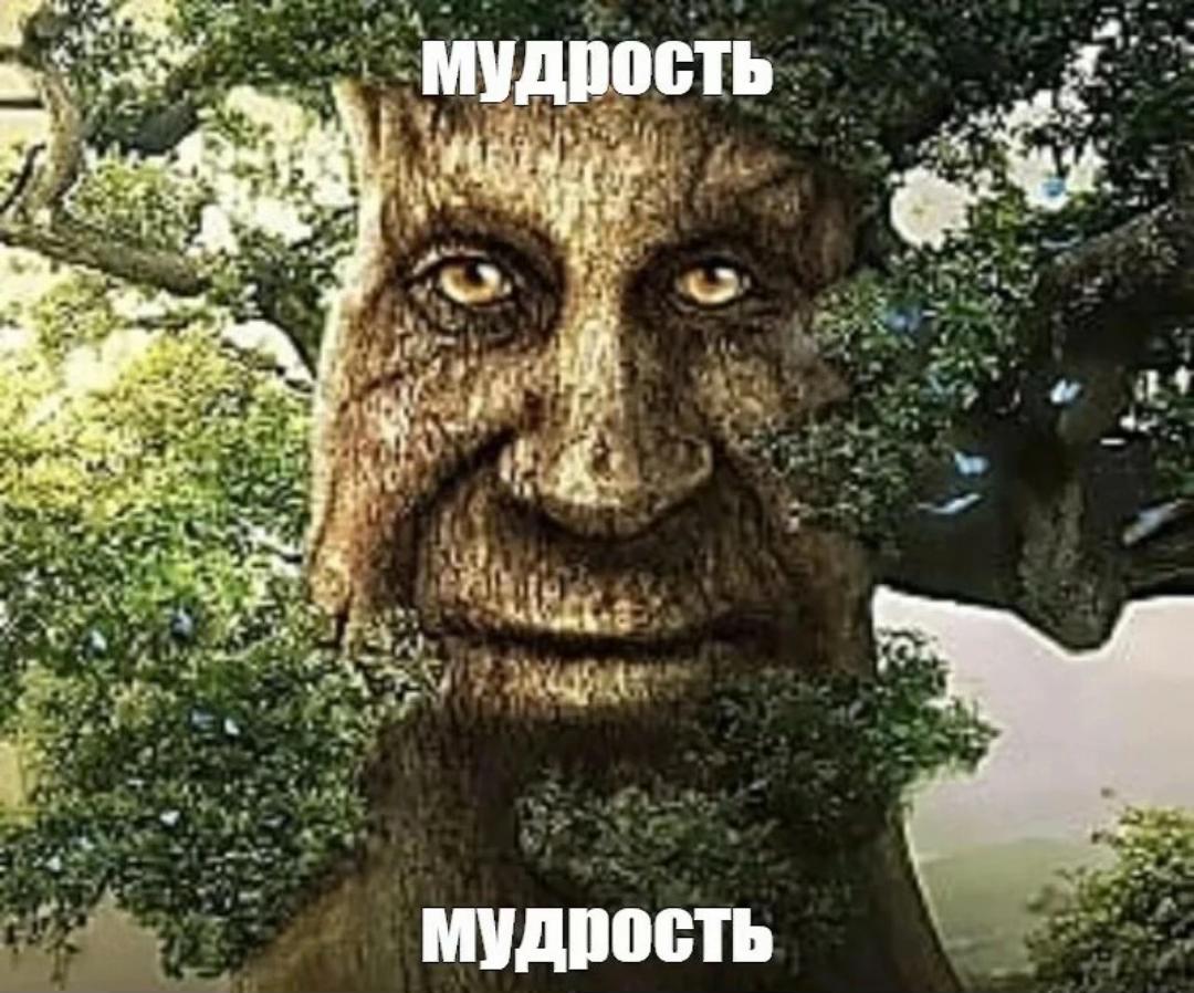@chi11er