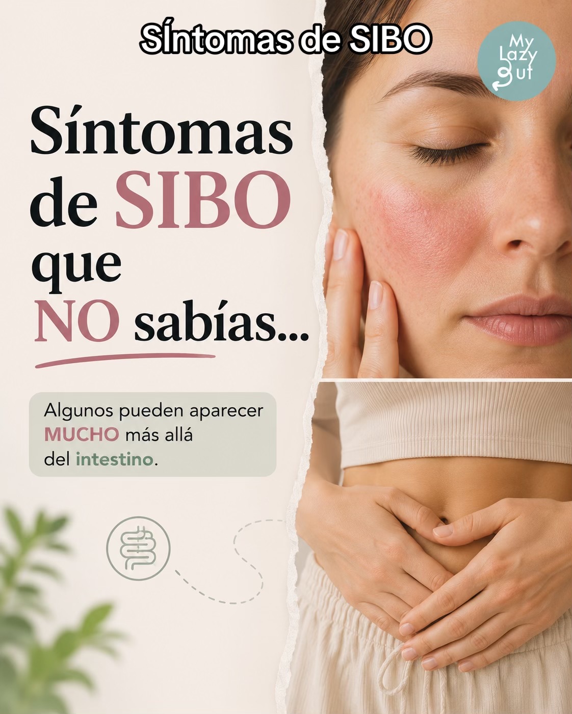 @Mylazygut/Salud Digestión