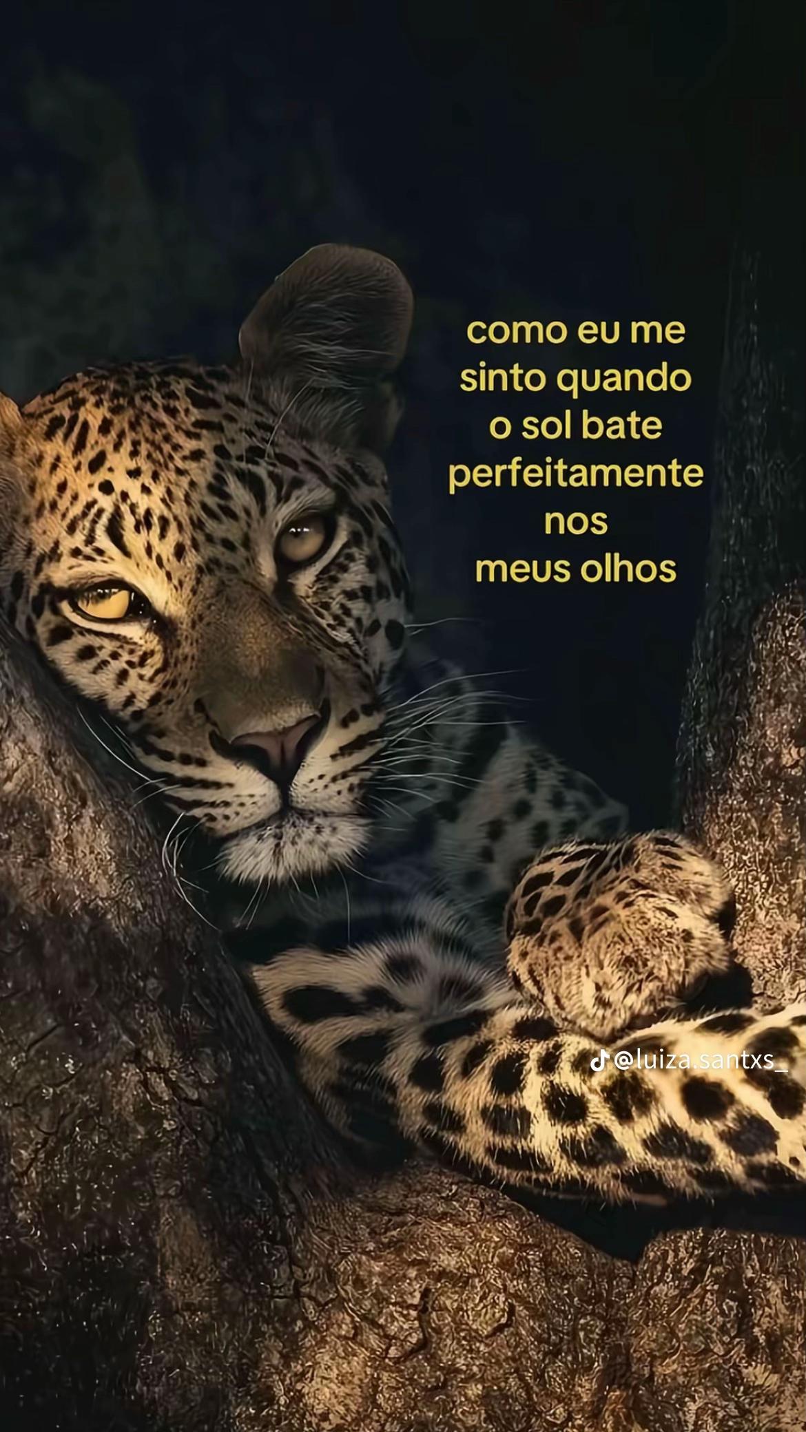 @Karolzinha