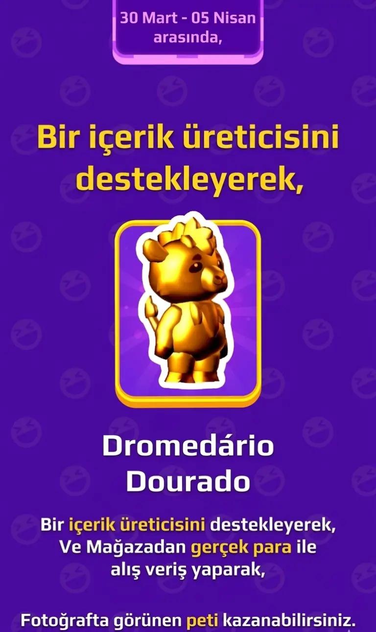 @EbrarX