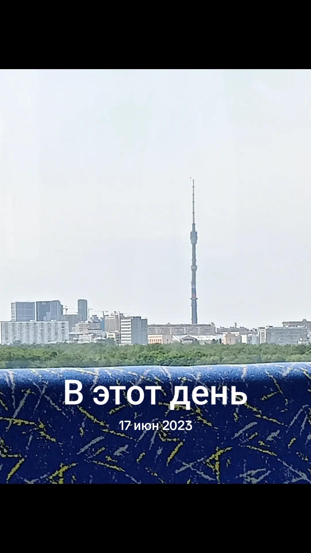 @собака кулибяка