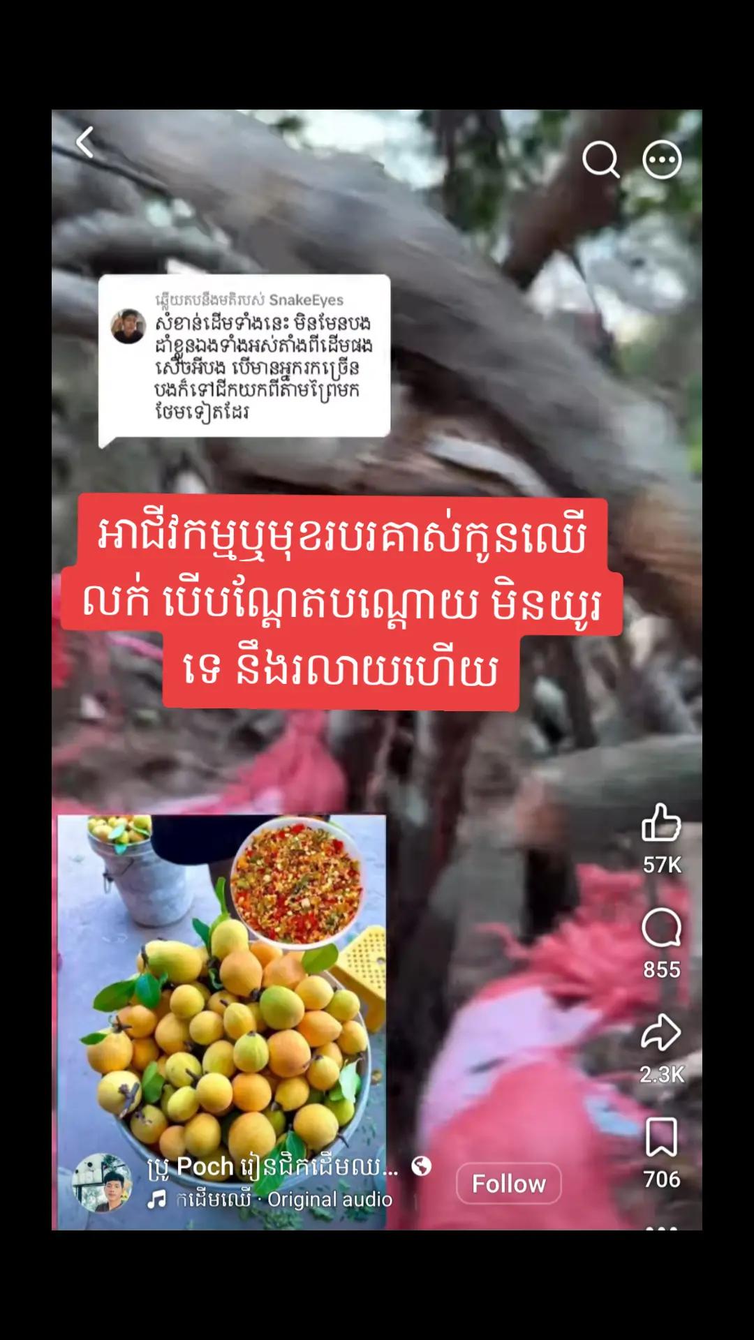 @តក់តក់