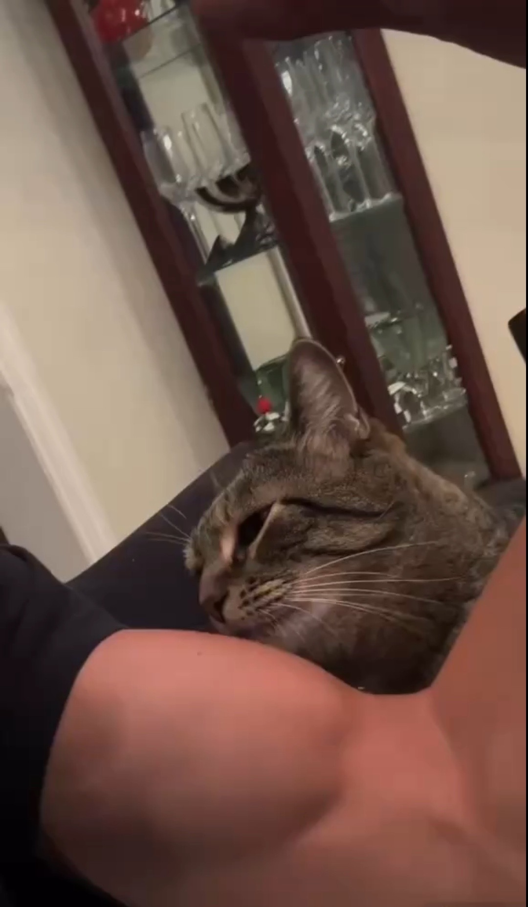 @eveee