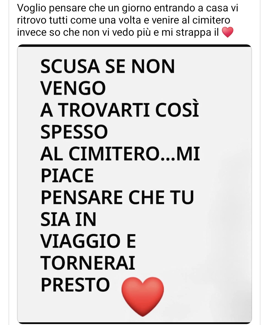 @Maria luisa Piccolo