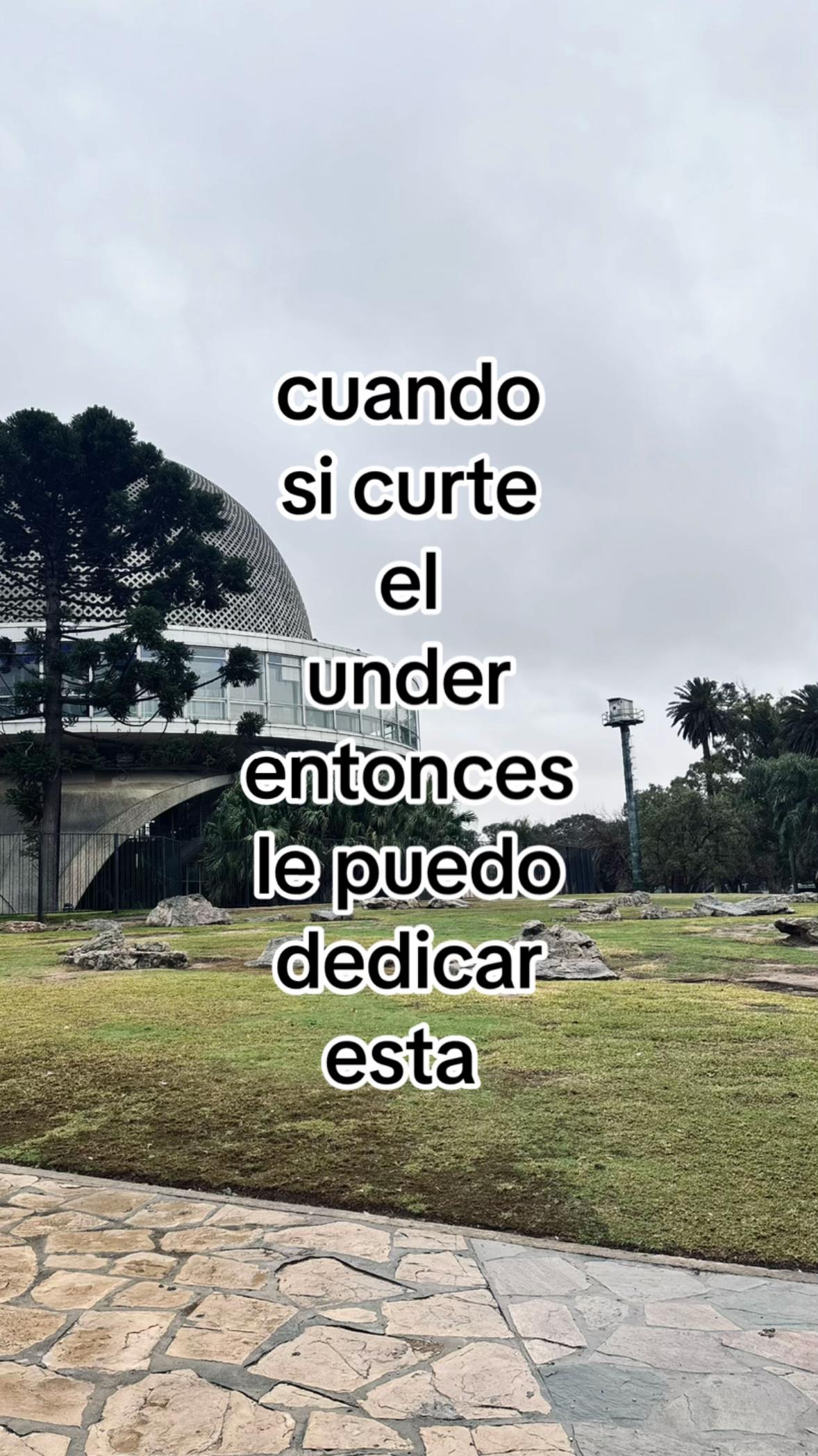 @╋━