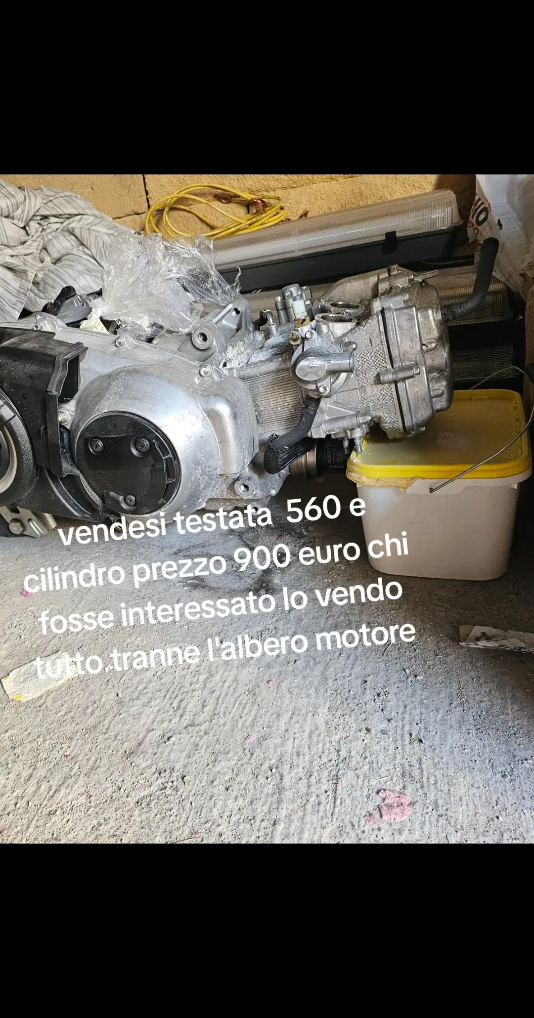 @alessandro