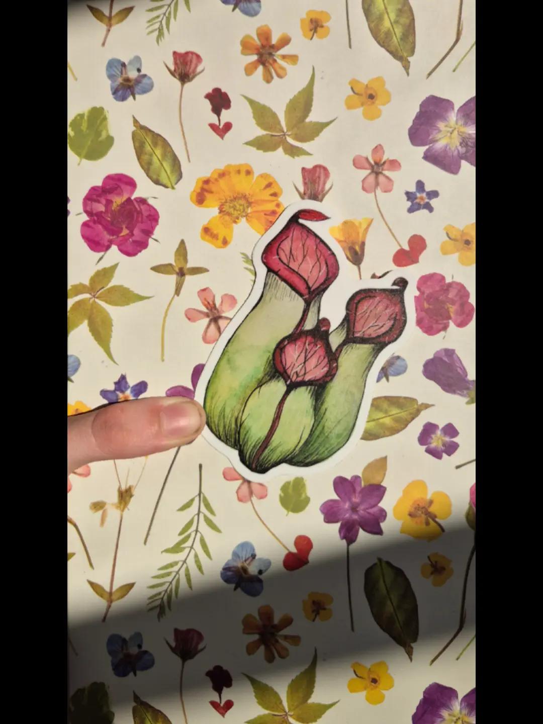 @Organic Illustrations