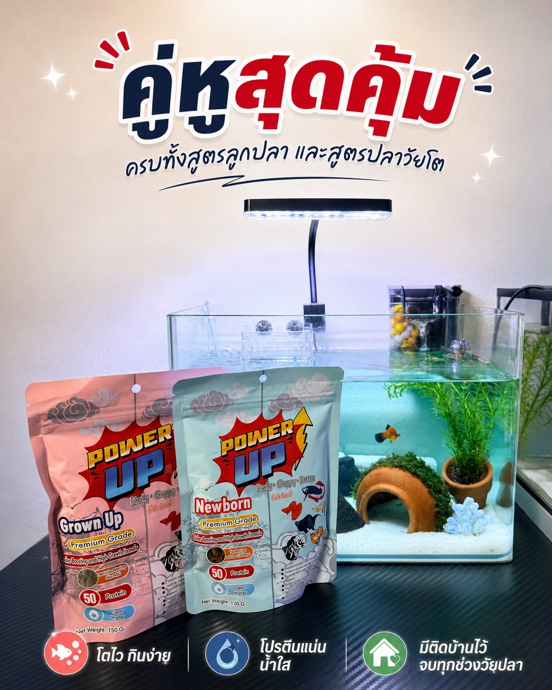 @แมวพารีวิว