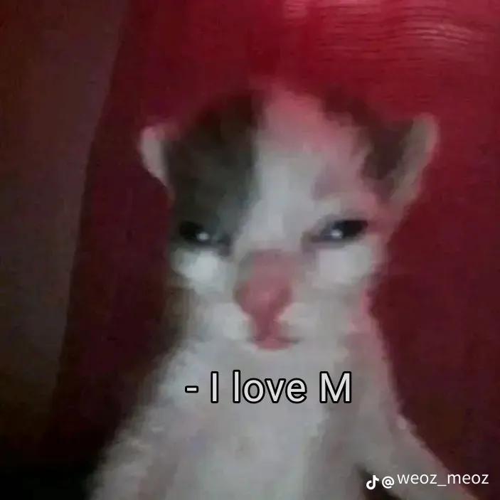 @s🅰️jr🅰️