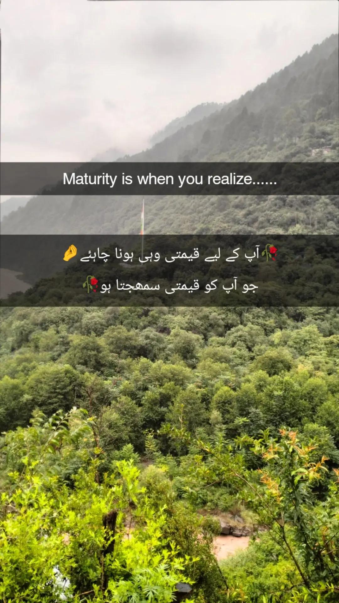 @*꧁༺ گوندل زادی ༻꧂*